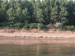 BG_km:400, 01.07.03 
