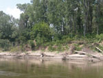 BG_km:468, 01.07.03 