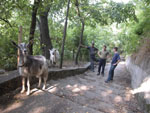 BG_Svistov km:554, 29.06.03