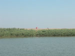 RU_Delta, 05.07.03 