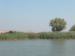 RU_Delta, 05.07.03 