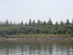 SCG_21.06.03