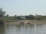 SCG_km:1193