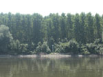 SCG_km:1198