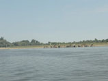 SCG_km:1220 